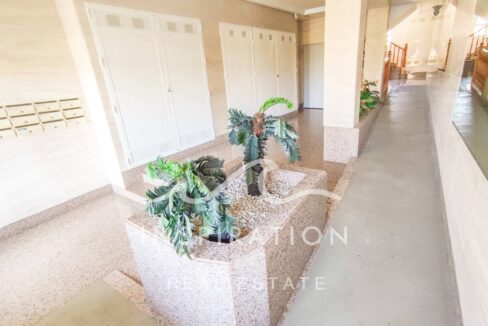 524558_32525906817_19_20230322174709547