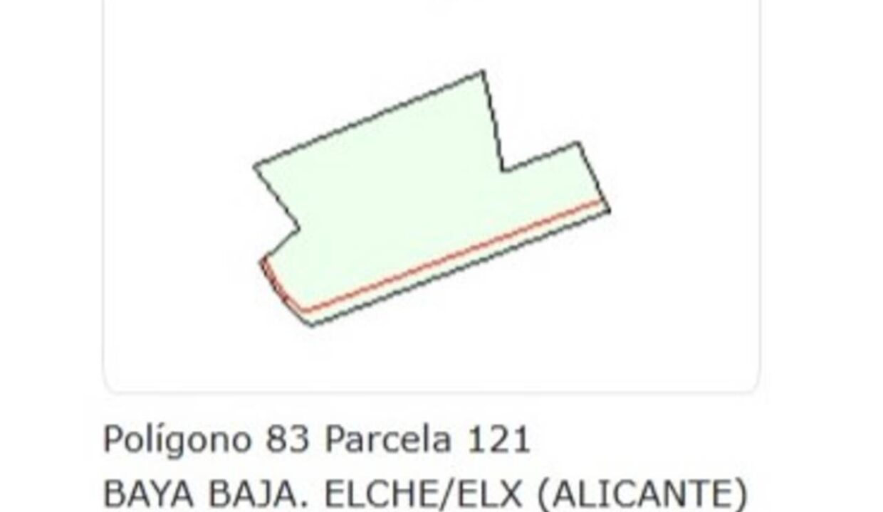 524558_63349510587_631275e1-6fae-4154-a1b6-8d932eafd6b4